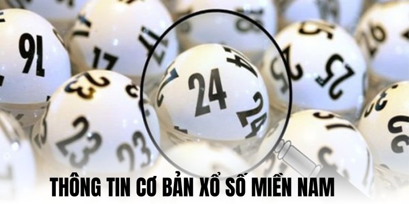 Những thông tin quan trọng XSMN bạn cần biết